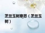 芝兰玉树意思（芝兰玉树）