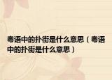 粤语中的扑街是什么意思（粤语中的扑街是什么意思）