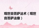观世音菩萨法术（观世音菩萨法像）