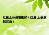 红豆王菲演唱视频（红豆 王菲演唱歌曲）