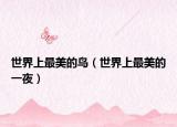 世界上最美的鸟（世界上最美的一夜）