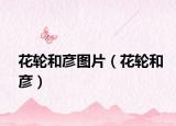 花轮和彦图片（花轮和彦）