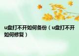 u盘打不开如何备份（u盘打不开如何修复）