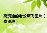 高贺迪的老公燕飞图片（高贺迪）