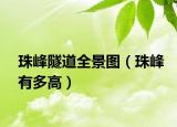 珠峰隧道全景图（珠峰有多高）