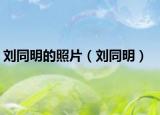 刘同明的照片（刘同明）