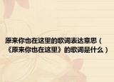 原来你也在这里的歌词表达意思（《原来你也在这里》的歌词是什么）