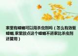 家里有蟑螂可以用杀虫剂吗（怎么有效驱蟑螂,家里放点这个蟑螂不进家比杀虫剂还管用）