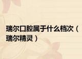 瑞尔口腔属于什么档次（瑞尔精灵）