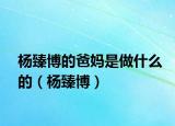杨臻博的爸妈是做什么的（杨臻博）
