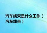 汽车线束是什么工作（汽车线束）
