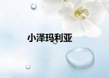 小泽玛利亚