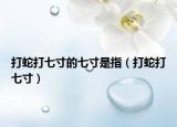 打蛇打七寸的七寸是指（打蛇打七寸）