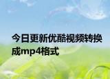 今日更新优酷视频转换成mp4格式