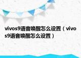 vivos9语音唤醒怎么设置（vivos9语音唤醒怎么设置）