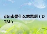 dtmb是什么意思啊（DTM）