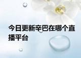 今日更新辛巴在哪个直播平台