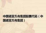 中国诺亚方舟集团股票代码（中国诺亚方舟集团）