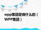 wpp集团是做什么的（WPP集团）