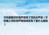 手机插着耳机有声音拔了耳机没声音（手机插上耳机有声音拔掉没有了是什么原因）