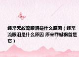 经常无故流眼泪是什么原因（经常流眼泪是什么原因 原来罪魁祸首是它）