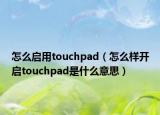 怎么启用touchpad（怎么样开启touchpad是什么意思）
