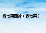 森七菜图片（森七菜）