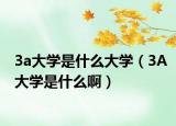 3a大学是什么大学（3A大学是什么啊）