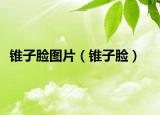 锥子脸图片（锥子脸）