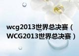 wcg2013世界总决赛（WCG2013世界总决赛）
