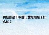 黄旭熙是干嘛的（黄旭熙是干什么的）