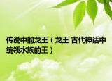 传说中的龙王（龙王 古代神话中统领水族的王）