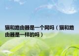 猫和路由器是一个网吗（猫和路由器是一样的吗）