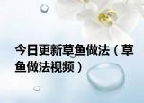 今日更新草鱼做法（草鱼做法视频）