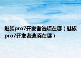 魅族pro7开发者选项在哪（魅族pro7开发者选项在哪）