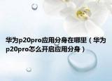 华为p20pro应用分身在哪里（华为p20pro怎么开启应用分身）
