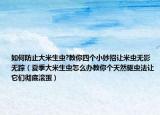 如何防止大米生虫?教你四个小妙招让米虫无影无踪（夏季大米生虫怎么办教你个天然驱虫法让它们彻底滚蛋）
