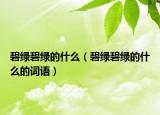 碧绿碧绿的什么（碧绿碧绿的什么的词语）