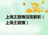 上海王剧情深度解析（上海王剧情）