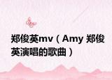 郑俊英mv（Amy 郑俊英演唱的歌曲）