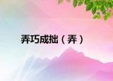 弄巧成拙（弄）