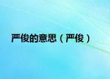 严俊的意思（严俊）