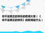 你不是真正的快乐的歌词大意（《你不是真正的快乐》的歌词是什么）