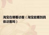 淘宝在哪看访客（淘宝能看到具体访客吗）