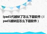 ipad1代越狱了怎么下载软件（ipad1越狱后怎么下载软件）
