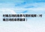 村晚古诗的意思与赏析视频（村晚古诗的意思翻译）