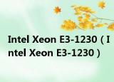 Intel Xeon E3-1230（Intel Xeon E3-1230）