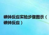 碘钟反应实验步骤图示（碘钟反应）