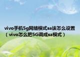 vivo手机5g网络模式sa该怎么设置（vivo怎么把5G调成sa模式）