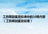 工伤级别鉴定标准中的10级内容（工伤级别鉴定标准）